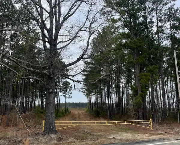 Tbd Rocky Ford Road, Salters, SC 29590