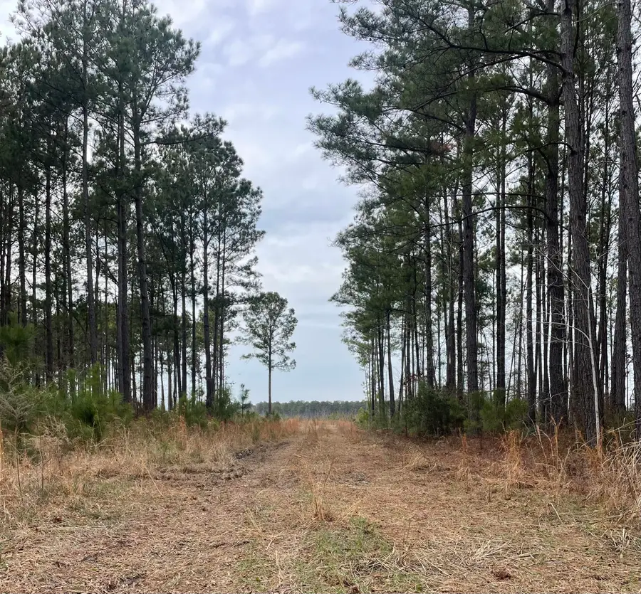 Tbd Rocky Ford Road, Salters, SC 29590 - #2