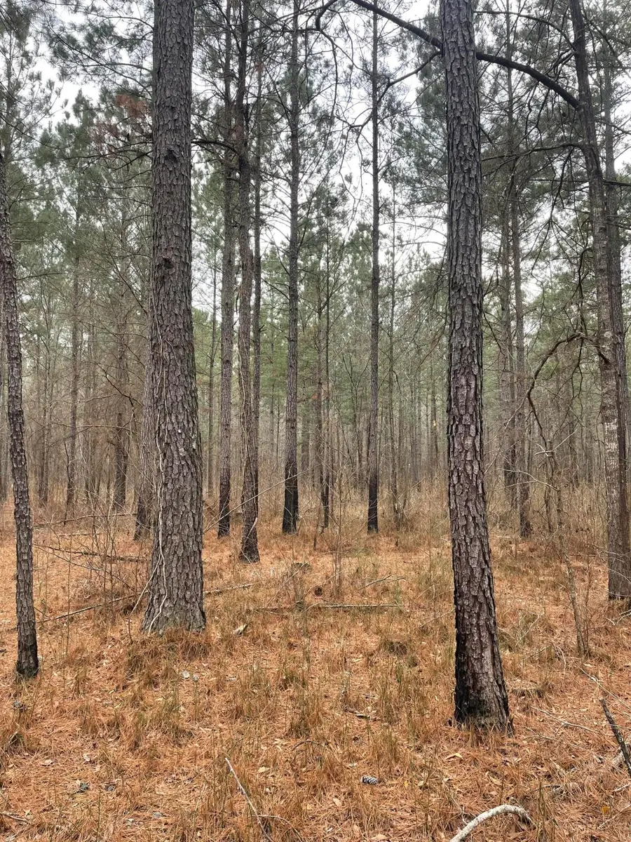 Tbd Rocky Ford Road, Salters, SC 29590 - #3