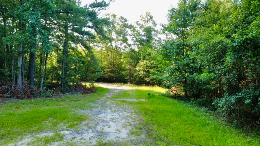 1 Weathers Farm Road, Bowman, SC 29018 - #3