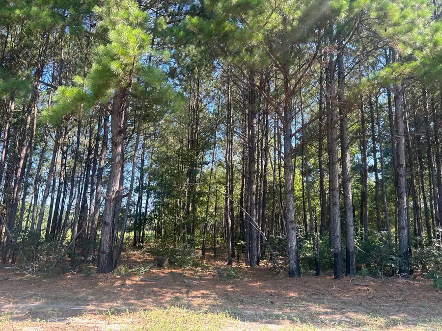 4 Trojan Road, Cross, SC 29436 - #3