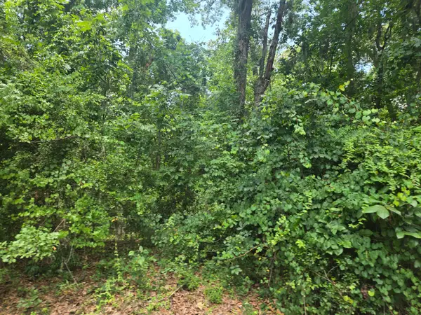12 Pinewood Drive, Santee, SC 29142