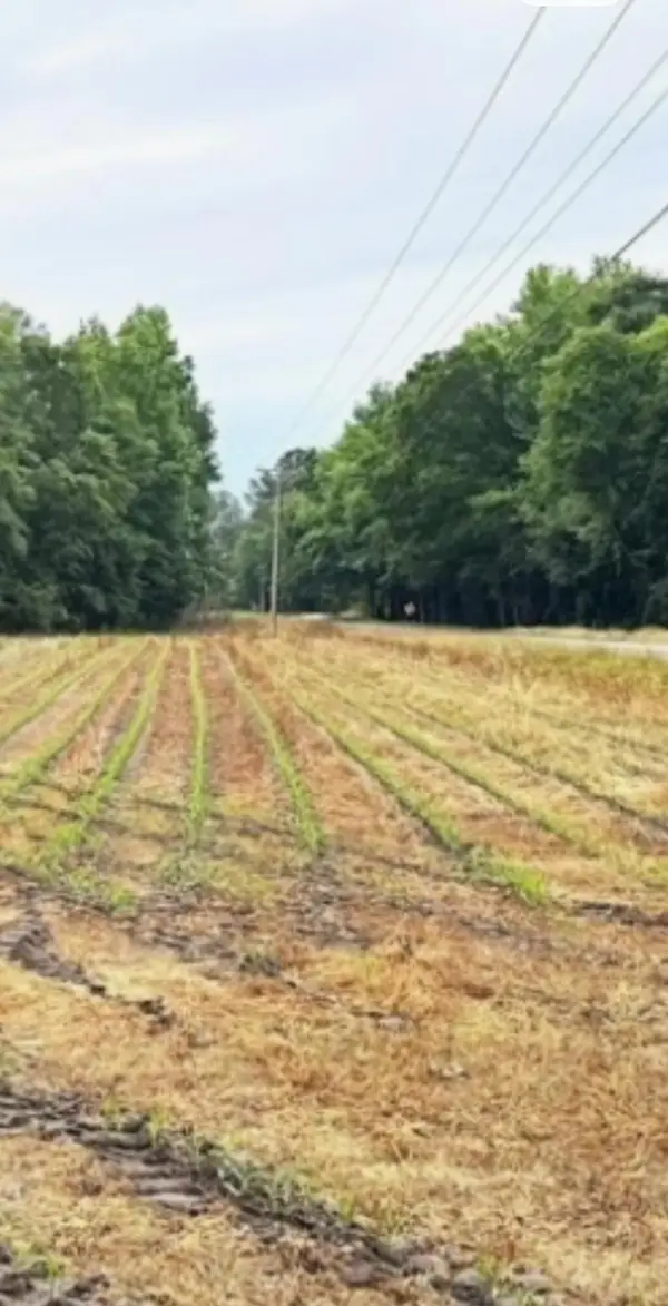 123 Mount Zion Road, Saint George, SC 29477