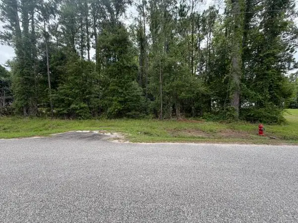 Tbd Lakewood Drive, Manning, SC 29102