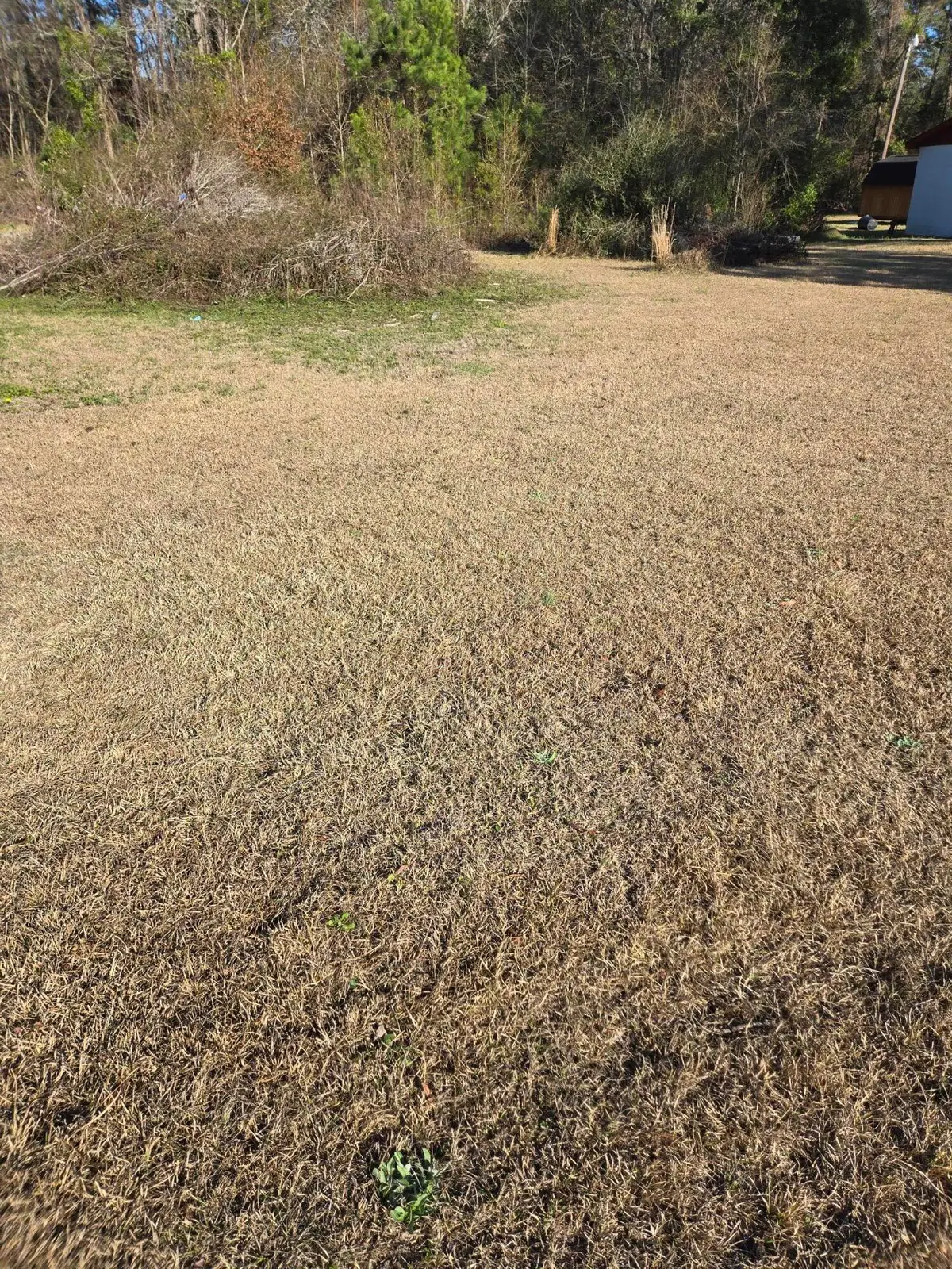 0 Bass Drive, Holly Hill, SC 29059 - #1