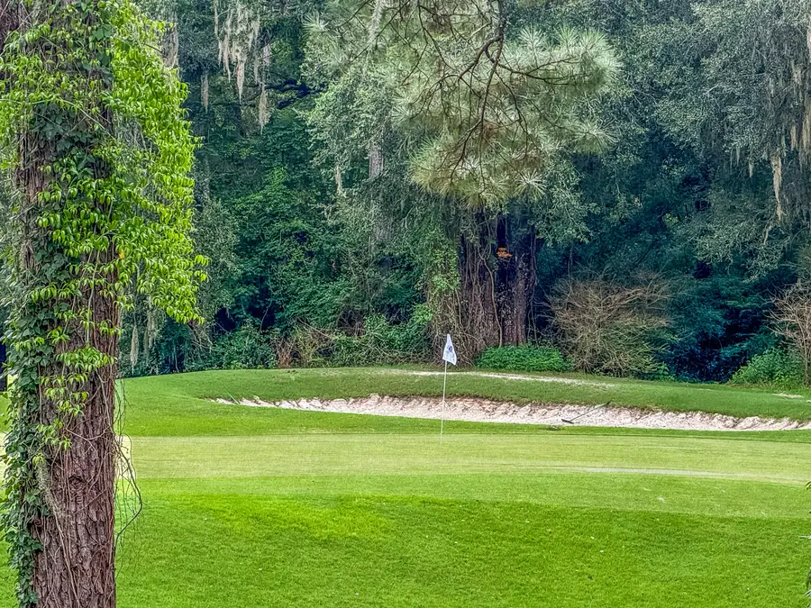 206 Golfview Lane, Summerville, SC 29485 - #3