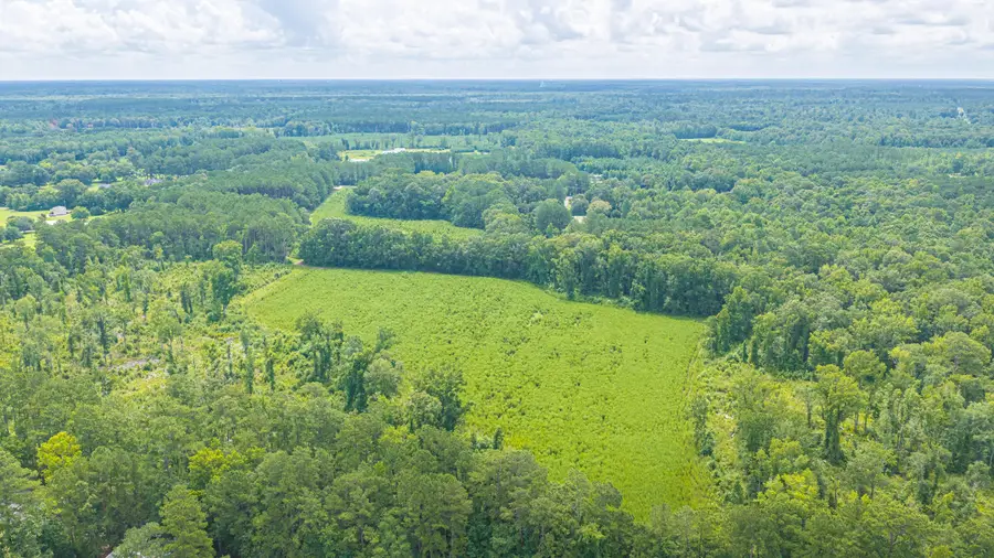 1570 Highway 61, Ridgeville, SC 29472 - #2