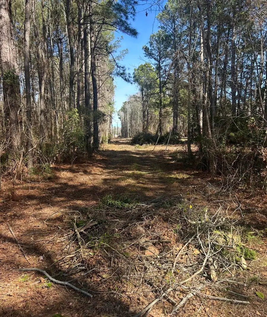 N/A Graham Street, Saint Stephen, SC 29479 - #3