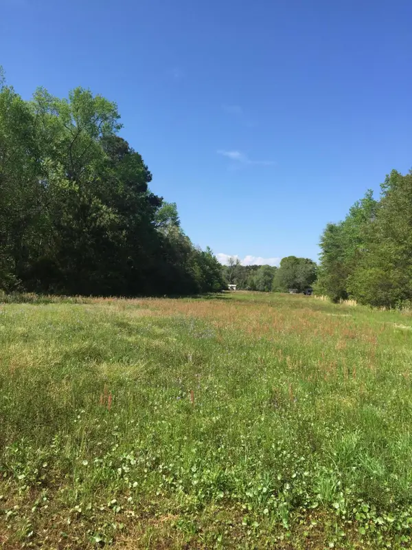 0 Boy Scout Road, Wadmalaw Island, SC 29487