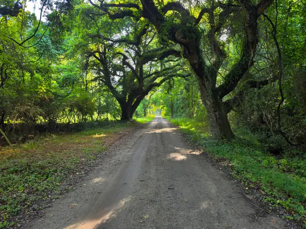 328 Drayton Street, McClellanville, SC 29458