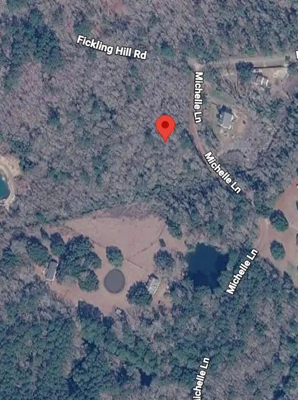 1038 Michelle Lane, Johns Island, SC 29455