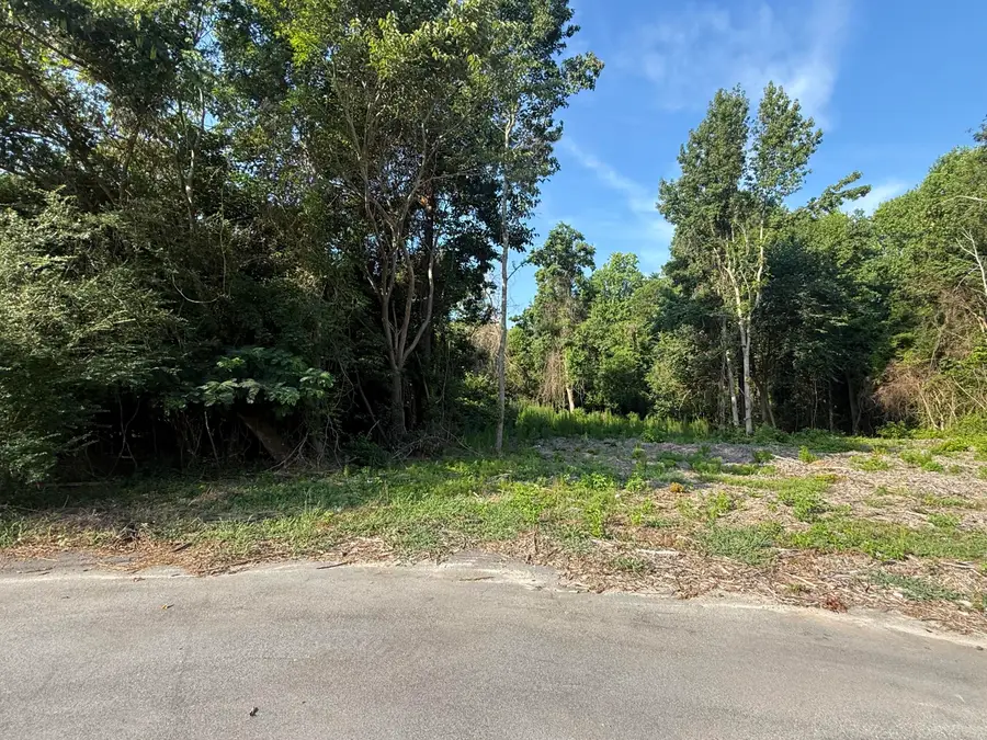 1402 Loblolly, Manning, SC 29102 - #3