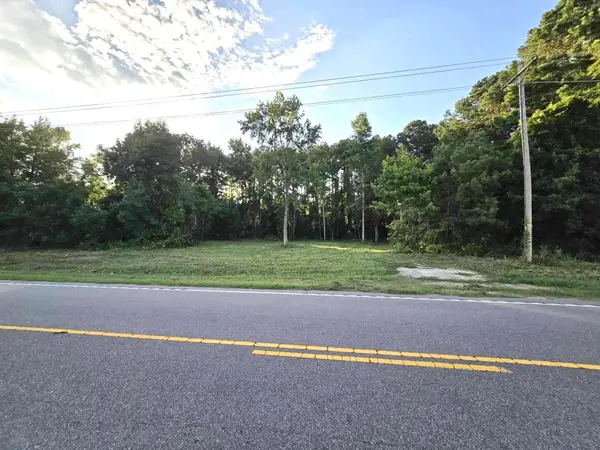 1420 Bill Davis Road, Manning, SC 29102