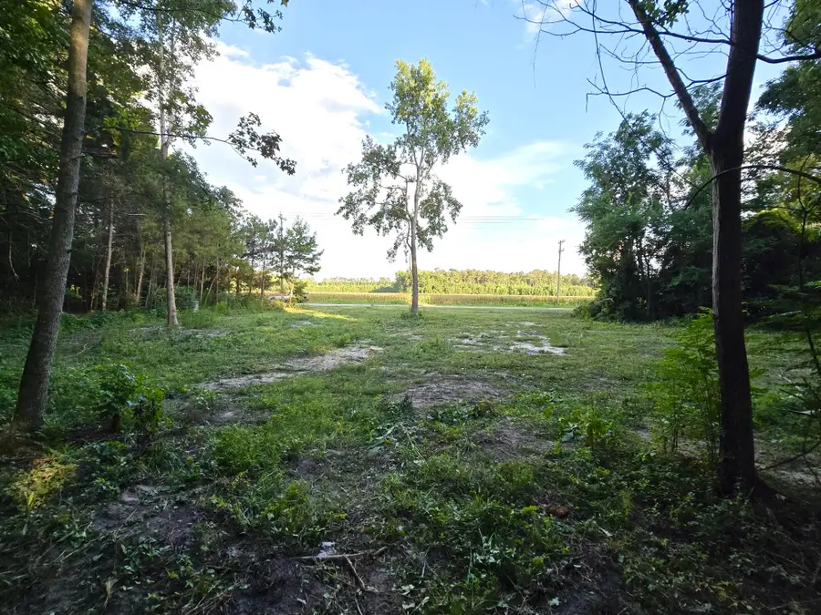 1420 Bill Davis Road, Manning, SC 29102 - #2