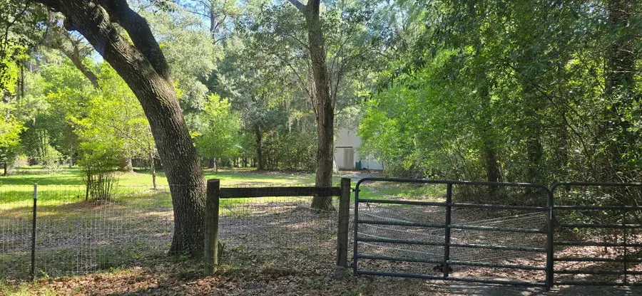 974 Spruce Street, Allendale, SC 29810 - #2