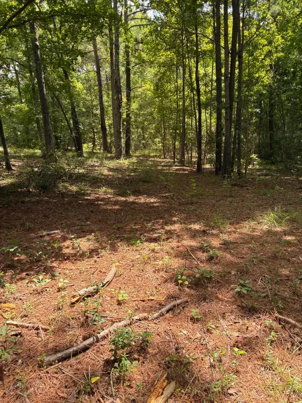 1061 Myrtle Drive, Santee, SC 29142