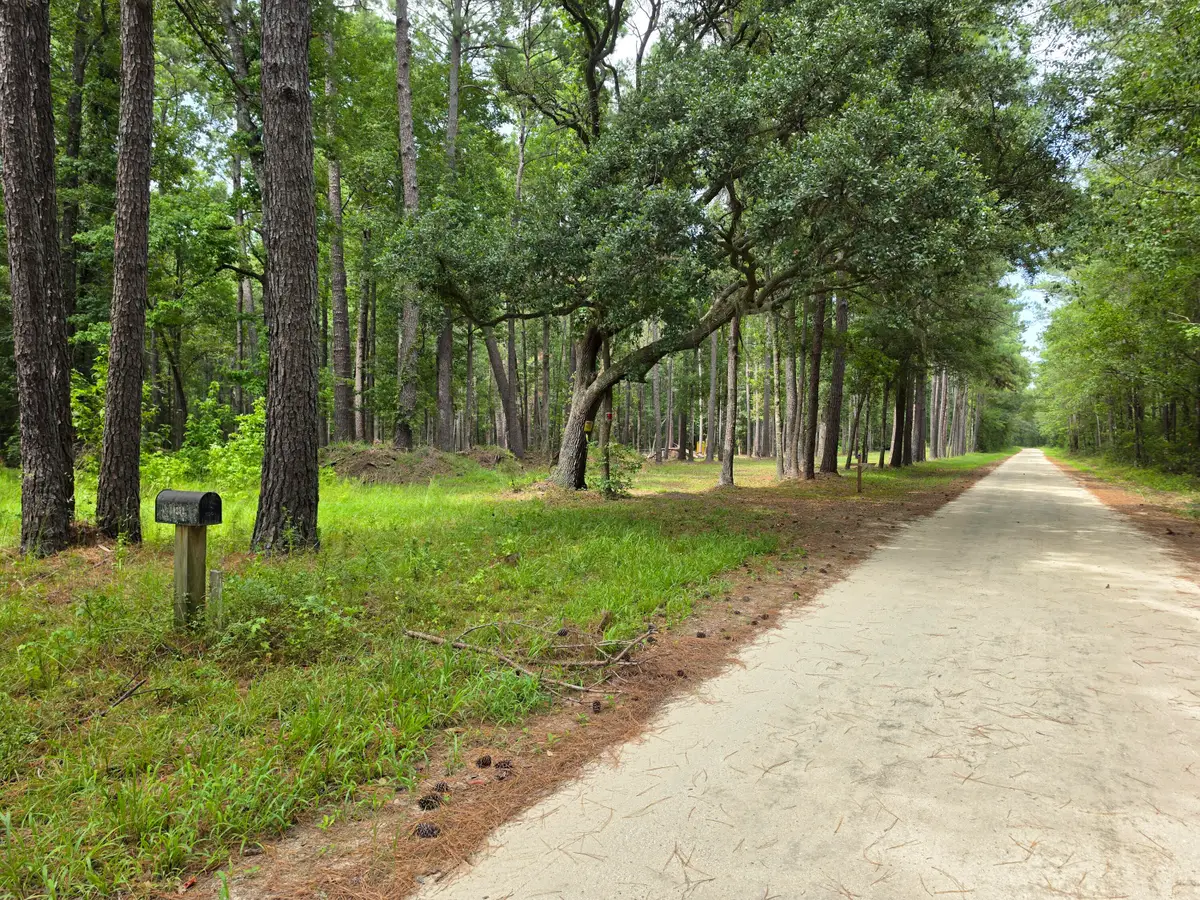 10252 Old Georgetown Road, McClellanville, SC 29458 - #1