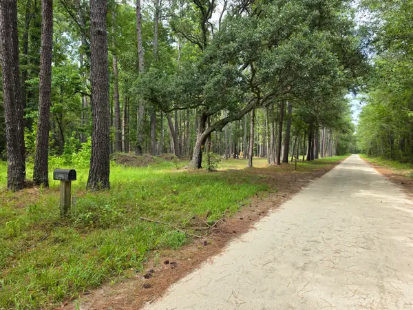 10252 Old Georgetown Road, McClellanville, SC 29458