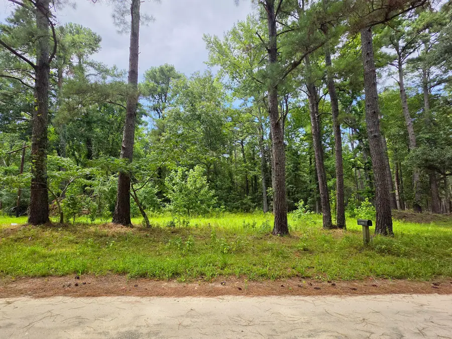 10252 Old Georgetown Road, McClellanville, SC 29458 - #2