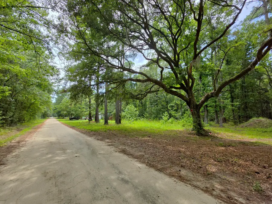 10252 Old Georgetown Road, McClellanville, SC 29458 - #3