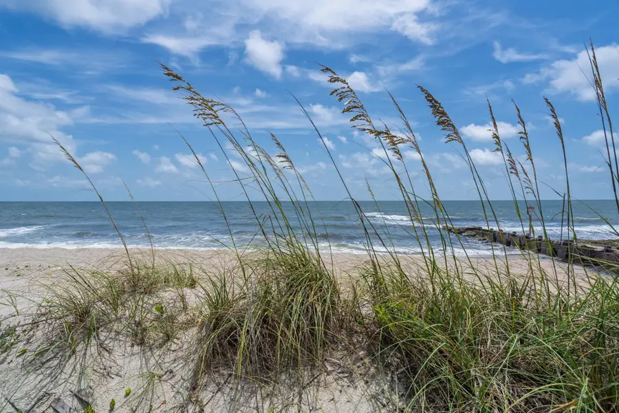 134 Palmetto Boulevard, Edisto Island, SC 29438 - #3