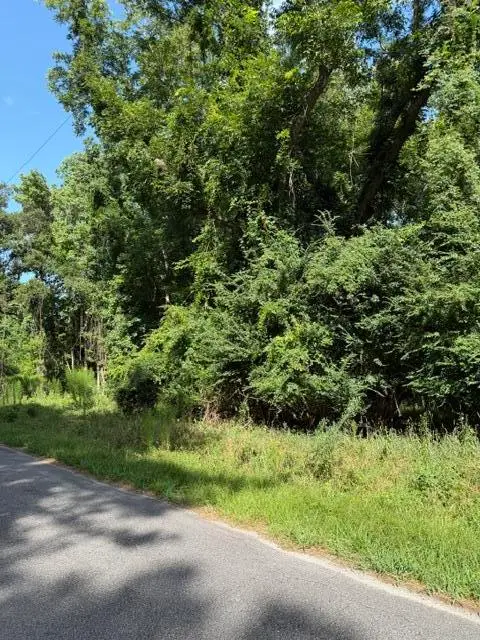 344 Dupre Road, McClellanville, SC 29458 - #2