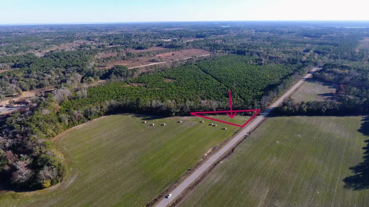 0 Rocks Pond Road #Lot X, Eutawville, SC 29048 - #1
