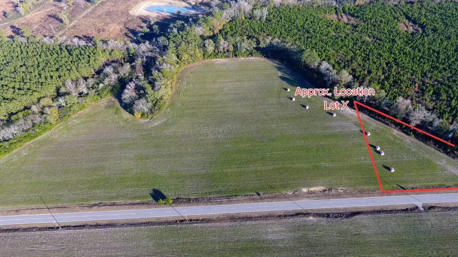 0 Rocks Pond Road #Lot X, Eutawville, SC 29048 - #2