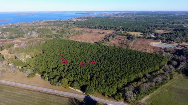0 Rocks Pond Road #Lot F, Eutawville, SC 29048