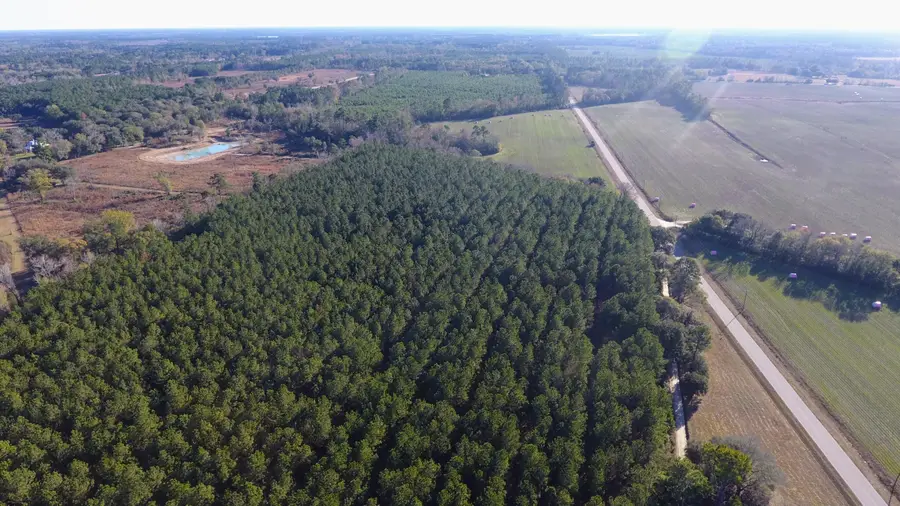 0 Rocks Pond Road #Lot F, Eutawville, SC 29048 - #2