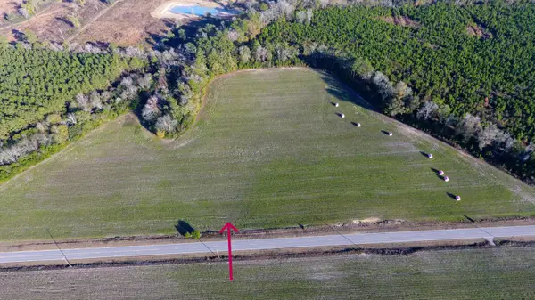 0 Rocks Pond Road #Lot S, Eutawville, SC 29048