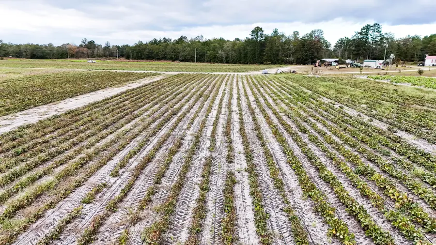 00 Chavis Road, Hilda, SC 29813 - #3