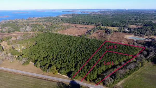 0 Rocks Pond Road #Lot L, Eutawville, SC 29048