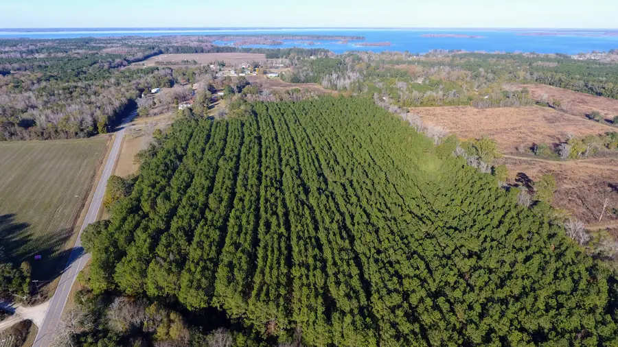 0 Rocks Pond Road #Lot L, Eutawville, SC 29048 - #3