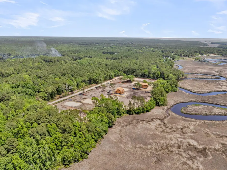 1130 Theodore Brunson Road, Awendaw, SC 29429 - #3