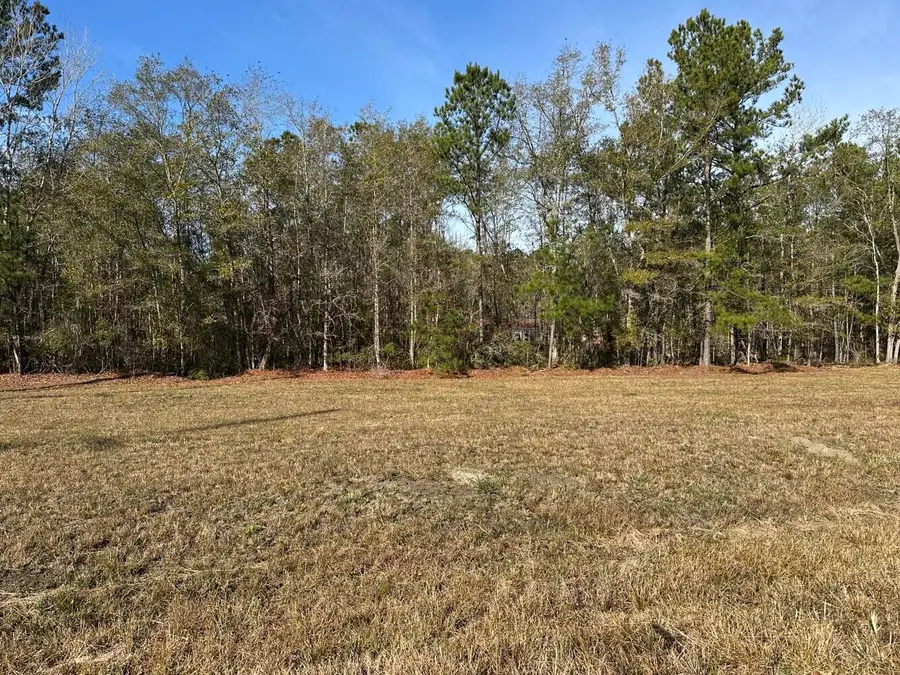 0 East Church Street, Bonneau, SC 29431 - #3
