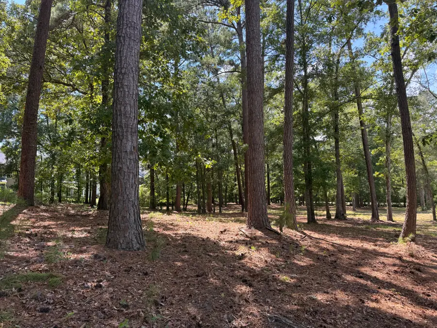 0 Lincoln Avenue, Summerville, SC 29485 - #3