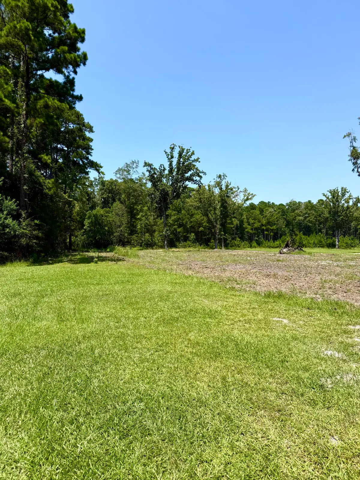 612 Savage Street, Moncks Corner, SC 29461 - #1