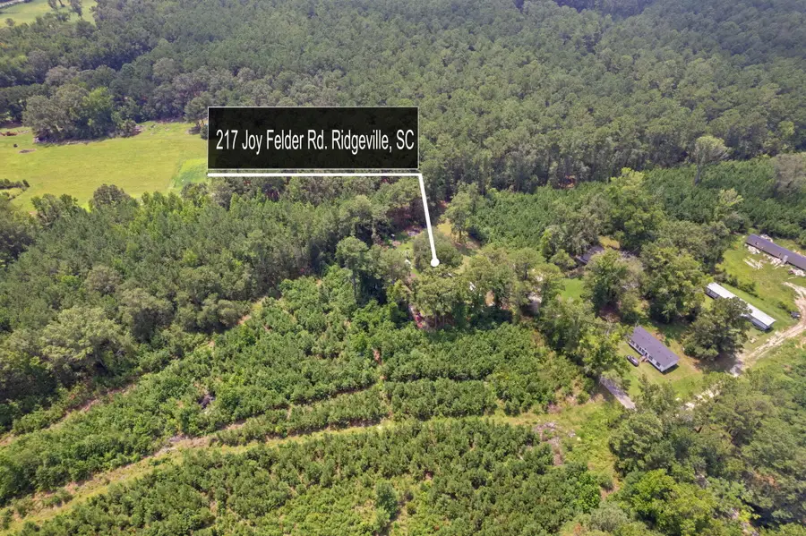 217 Joe Felder Road, Ridgeville, SC 29472 - #2