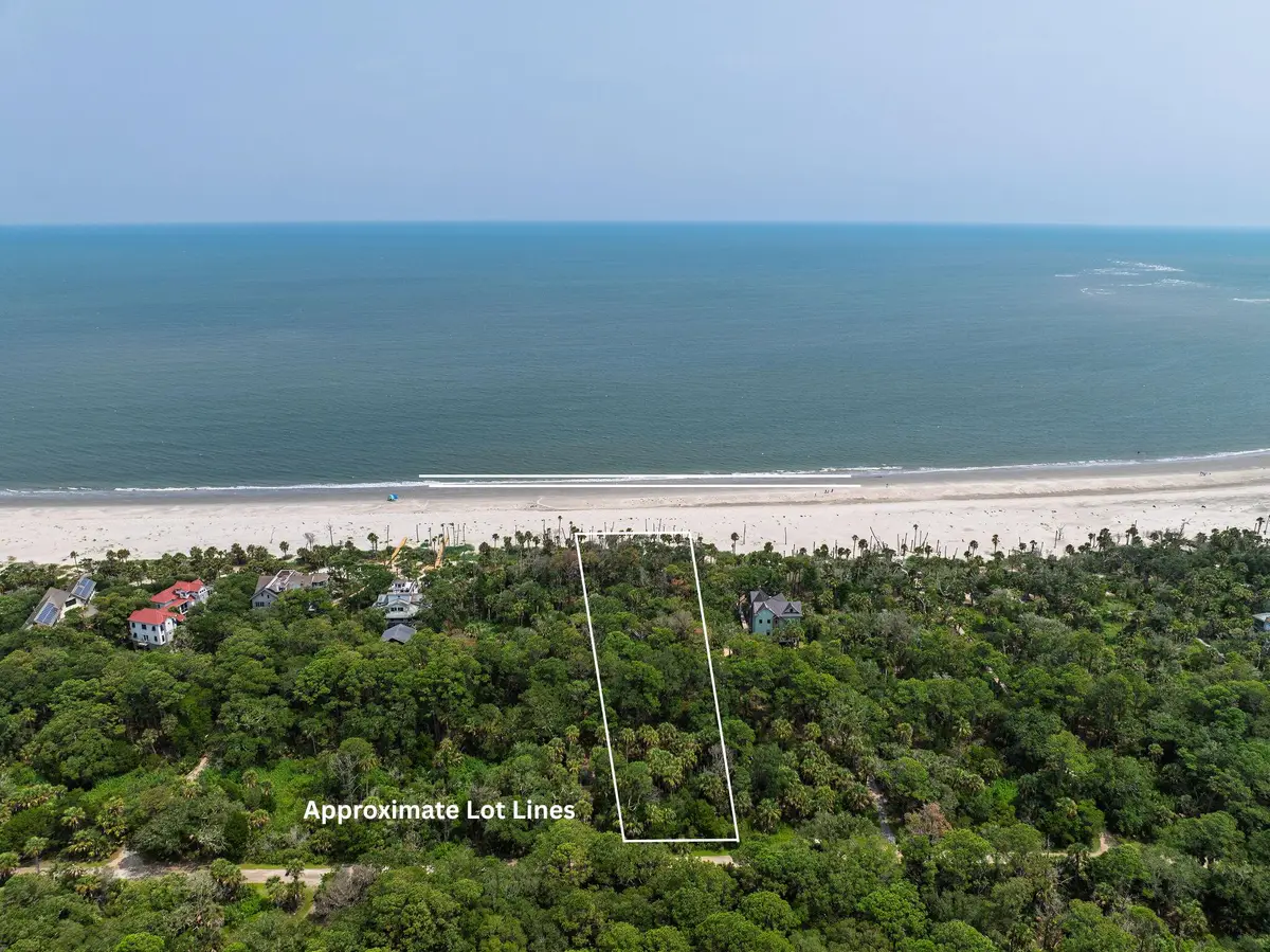 355 Pelican Flight Drive #Lot 29, Dewees Island, SC 29451 - #1