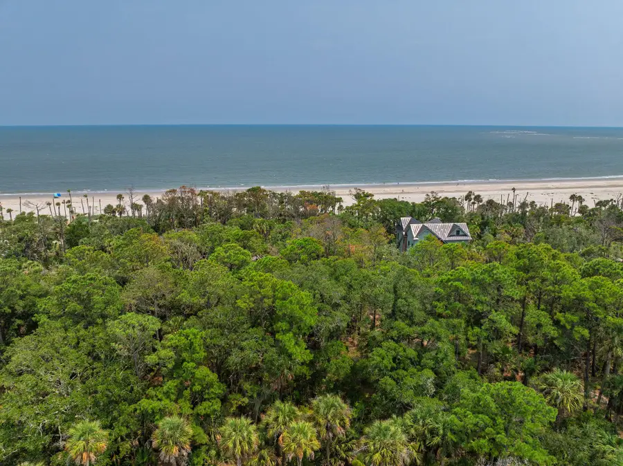355 Pelican Flight Drive #Lot 29, Dewees Island, SC 29451 - #3