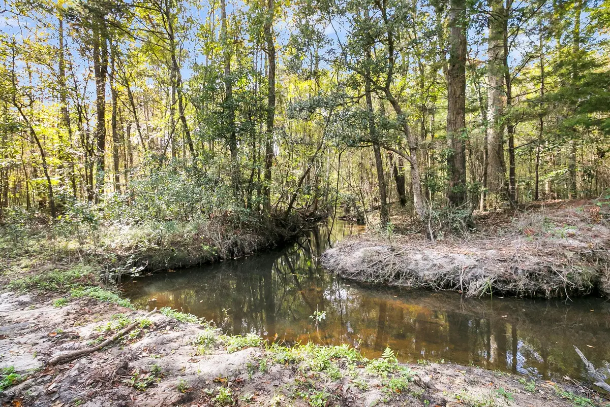 107 Weir Street, Summerville, SC 29483 - #1