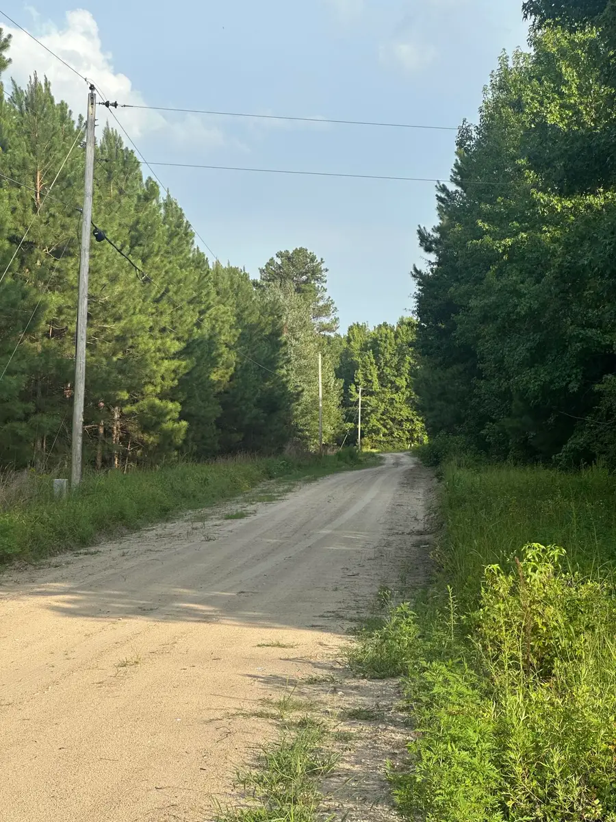 0 Hoover, Branchville, SC 29432 - #2