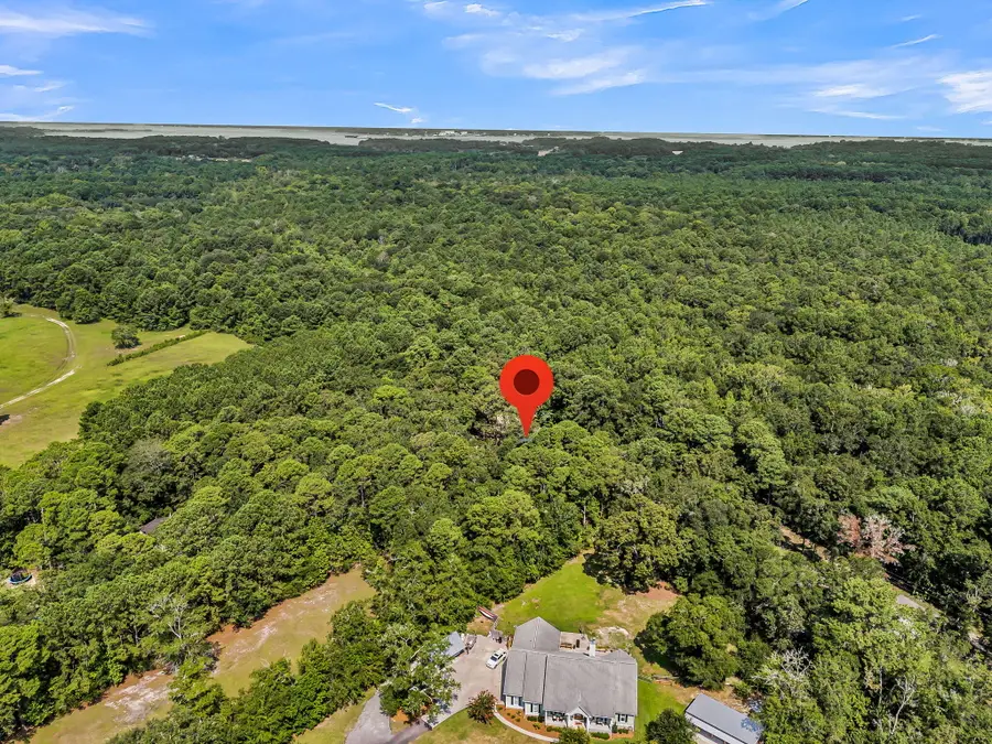 5610 Katy Hill Road, Wadmalaw Island, SC 29487 - #2