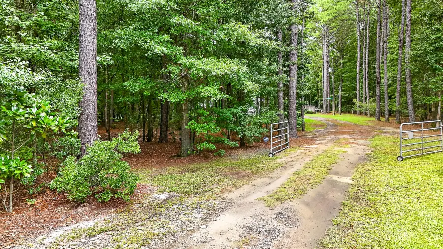 173 Gum Branch Road, Saint George, SC 29477 - #2