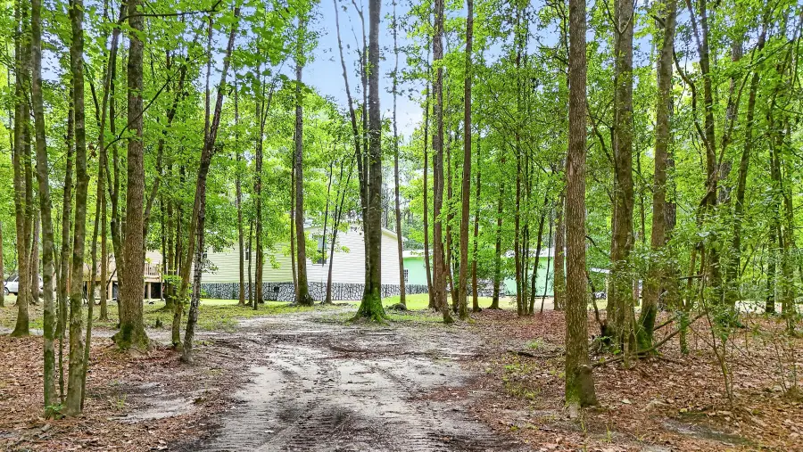 173 Gum Branch Road, Saint George, SC 29477 - #3