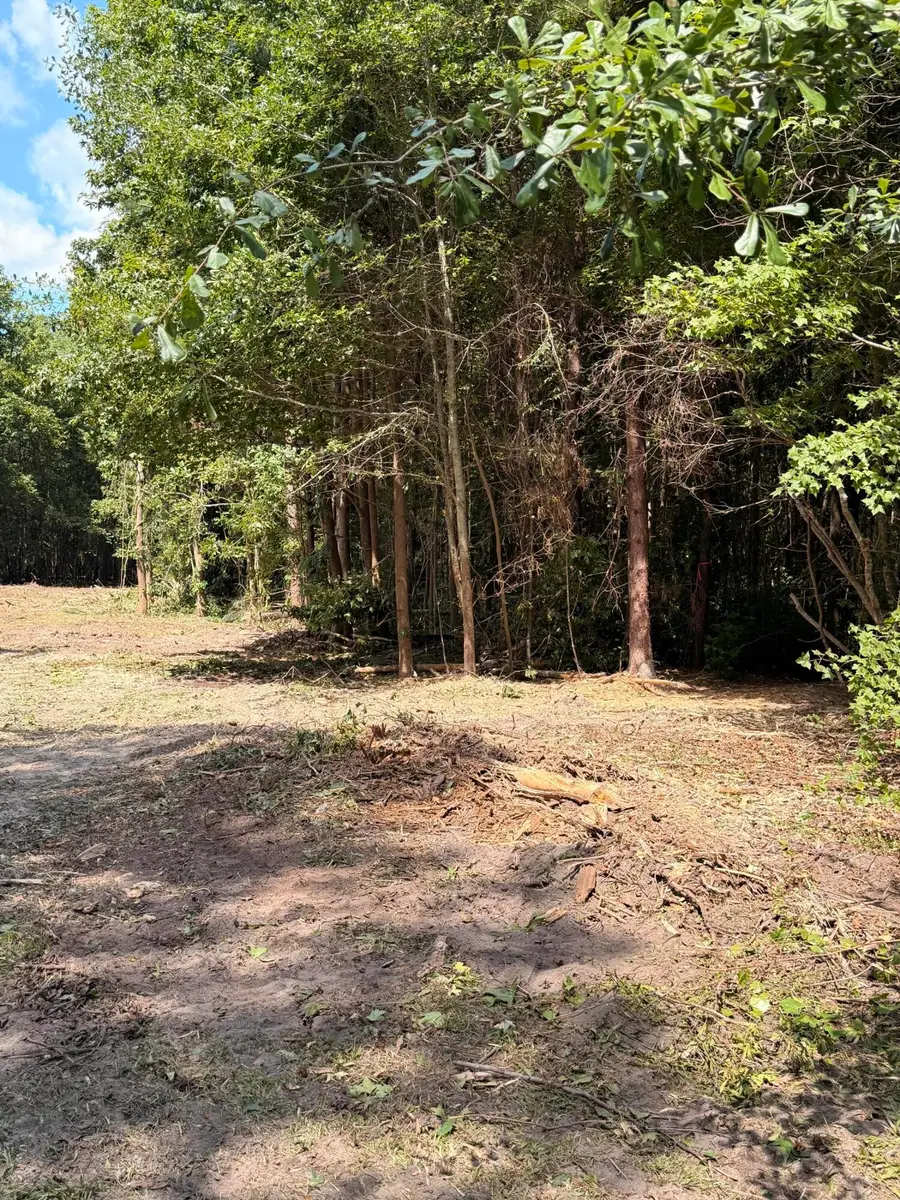 1547b Pine Valley Drive, Elgin, SC 29045 - #3