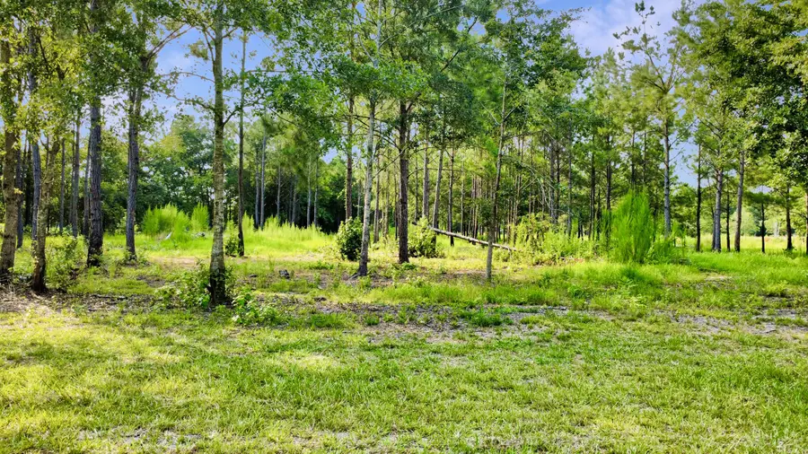 1 Grannys Lane, Saint George, SC 29477 - #3