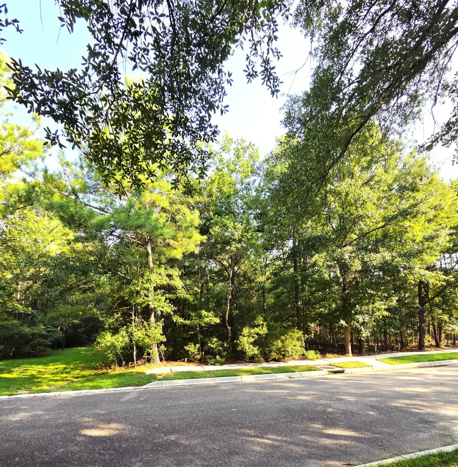 112 Duany Drive, Georgetown, SC 29440 - #2