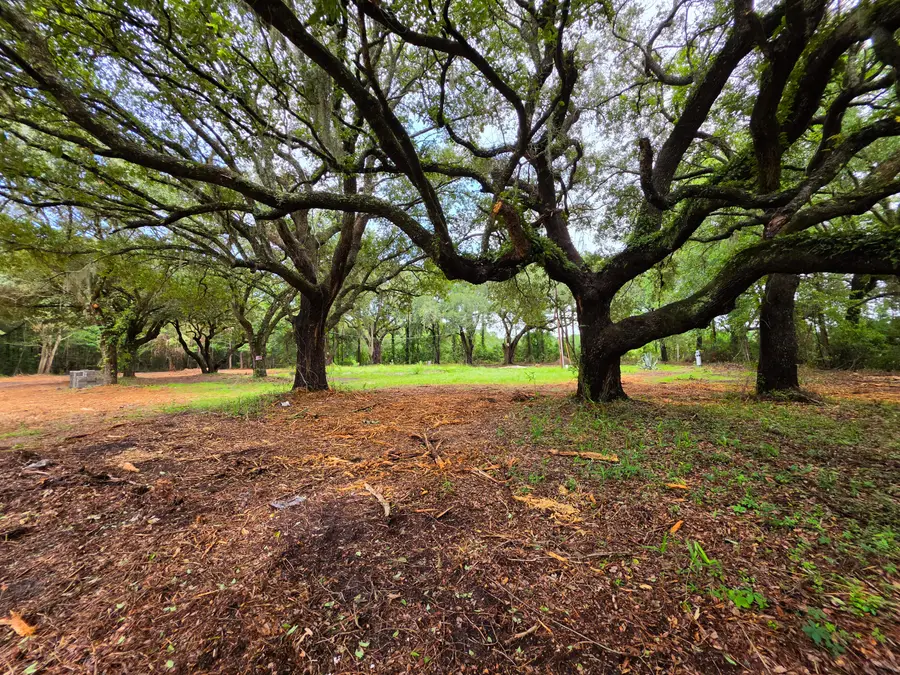 8710 Us 17 Highway, McClellanville, SC 29458 - #2